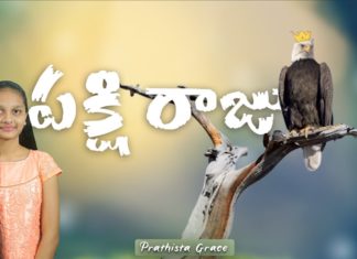 పక్షి రాజు!,Wonderful and Inspirational Message About Pakshi Raju,Prathista Grace,Eagle Story,Zion Ministries,pakshi raju,pakshi raju story,pakshi raju life style,pakshi raju inspirational story,pakshi raju life,pakshi raju in bible,pakshi raju bible story,best birds in bible,pakshi raju bible verses in telugu,best birds story in biblet,bible verses on pakshi raju,pakshi raju life details,inspirational stories,motivational stories,how to achieve success