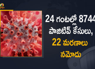 Corona Positive Cases in Maharashtra, Corona Positive Cases In Maharashtra, Maharashtra, Maharashtra , Maharashtra Corona, Maharashtra Corona Cases, Maharashtra Corona Deaths, Maharashtra Corona Positive Cases, Maharashtra Coronavirus, Maharashtra Coronavirus Positive Cases, Maharashtra Coronavirus Updates, Maharashtra COVID 19,mango news