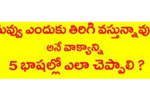 నువ్వు ఎందుకు తిరిగి వస్తున్నావు? అనే వాక్యాన్ని 5 భాషల్లో ఎలా చెప్పాలి?,English,Tamil,KVR Institute,Kannada,Hindi,malayalam,spoken english through telugu,english through telugu,learn english through telugu,learn tamil through telugu,learn kannada through telugu,learn malayalam through telugu,learn hindi through telugu,english grammar through telugu,hindi grammar through telugu,tamil grammar through telugu,malayalaym grammar through telugu,kvr institute channel