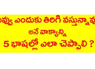 నువ్వు ఎందుకు తిరిగి వస్తున్నావు? అనే వాక్యాన్ని 5 భాషల్లో ఎలా చెప్పాలి?,English,Tamil,KVR Institute,Kannada,Hindi,malayalam,spoken english through telugu,english through telugu,learn english through telugu,learn tamil through telugu,learn kannada through telugu,learn malayalam through telugu,learn hindi through telugu,english grammar through telugu,hindi grammar through telugu,tamil grammar through telugu,malayalaym grammar through telugu,kvr institute channel