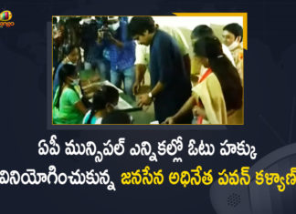 Pawan Kalyan Cast his vote