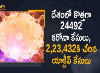 Coronavirus Cases, coronavirus cases in india state wise, coronavirus cases in india today state wise, coronavirus cases india, coronavirus india, India Coronavirus, India Covid-19 Updates, New Confirmed Corona Cases, total corona cases in india today, total corona positive in india,mango news