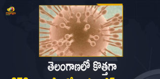 Coronavirus, COVID-19, Covid-19 Updates in Telangana, telangana corona district wise cases, telangana coronavirus cases district wise, telangana coronavirus cases today, telangana coronavirus cases today district wise, telangana coronavirus district wise, telangana coronavirus district wise List, Telangana Coronavirus News, telangana covid cases today bulletin, telangana covid cases today list,mango news