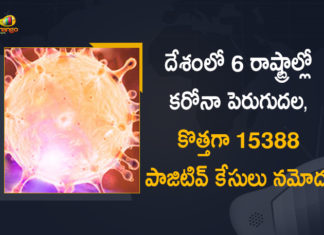 Coronavirus Cases, coronavirus cases in india state wise, coronavirus cases in india today state wise, coronavirus cases india, coronavirus india, India Coronavirus, India Covid-19 Updates, New Confirmed Corona Cases, total corona cases in india today, total corona positive in india,mango news