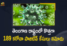 Coronavirus, COVID-19, Covid-19 Updates in Telangana, telangana corona district wise cases, telangana coronavirus cases district wise, telangana coronavirus cases today, telangana coronavirus cases today district wise, telangana coronavirus district wise, telangana coronavirus district wise List, Telangana Coronavirus News, telangana covid cases today bulletin, telangana covid cases today list,mango news