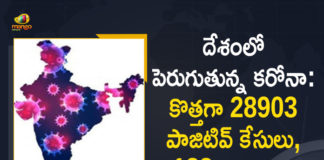 Coronavirus Cases, coronavirus cases in india state wise, coronavirus cases in india today state wise, coronavirus cases india, coronavirus india, India Coronavirus, India Covid-19 Updates, New Confirmed Corona Cases, total corona cases in india today, total corona positive in india,mango news