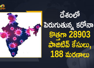 Coronavirus Cases, coronavirus cases in india state wise, coronavirus cases in india today state wise, coronavirus cases india, coronavirus india, India Coronavirus, India Covid-19 Updates, New Confirmed Corona Cases, total corona cases in india today, total corona positive in india,mango news