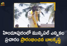 2021 AP Municipal Elections, AP Municipal Elections, AP Municipal Elections 2021, AP Municipal Elections 2021 Schedule, Ap Municipal Elections Campaign, AP Municipal Elections Date, AP Municipal Elections News, Balakrishna has Started Municipal Election Campaign, Balakrishna Municipal Election Campaign, Balakrishna Municipal Election Campaign in Hindupur, Hindupur, MLA Balakrishna, Municipal Election Campaign, Municipal Election Campaign in Hindupur