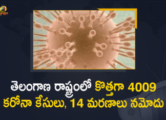 Coronavirus, COVID-19, Covid-19 Updates in Telangana, telangana corona district wise cases, telangana coronavirus cases district wise, telangana coronavirus cases today, telangana coronavirus cases today district wise, telangana coronavirus district wise, telangana coronavirus district wise List, Telangana Coronavirus News, telangana covid cases today bulletin, telangana covid cases today list,mango news
