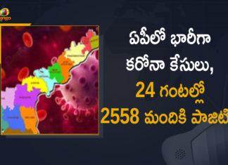 ఏపీలో 31268 కరోనా పరీక్షలు నిర్వహించగా, 2558 మందికి పాజిటివ్ గా నిర్ధారణ Andhra Pradesh, Andhra Pradesh COVID-19 Daily Bulletin, Andhra Pradesh Department of Health, ap coronavirus cases today, ap coronavirus cases total, ap coronavirus updates district wise, AP COVID 19 Cases, AP Total Positive Cases, COVID-19, COVID-19 Daily Bulletin, Total Corona Cases In AP,mango news