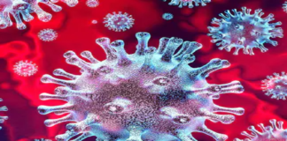 Maharashtra Covid-19 Positive Cases Update on April 30th,Mango News,Mango News Telugu,Maharashtra Reports 62919 New Positive Cases and 828 Deaths in Last 24 hours,Maharashtra Reports,Maharashtra,Corona Positive Cases in Maharashtra,Maharashtra Corona,Maharashtra Corona Cases,Maharashtra Corona Deaths,Maharashtra Corona Positive Cases,Maharashtra Coronavirus,Maharashtra Coronavirus Positive Cases,Maharashtra Coronavirus Updates,Maharashtra COVID 19,Maharashtra New Covid-19 Cases,Maharashtra Deaths Reports,Maharashtra Covid-19 Updates,Maharashtra Reports 62919 New Positive Cases,Maharashtra Latest Reports