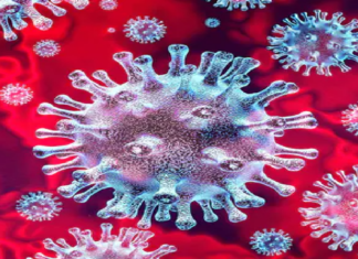 Maharashtra Covid-19 Positive Cases Update on April 30th,Mango News,Mango News Telugu,Maharashtra Reports 62919 New Positive Cases and 828 Deaths in Last 24 hours,Maharashtra Reports,Maharashtra,Corona Positive Cases in Maharashtra,Maharashtra Corona,Maharashtra Corona Cases,Maharashtra Corona Deaths,Maharashtra Corona Positive Cases,Maharashtra Coronavirus,Maharashtra Coronavirus Positive Cases,Maharashtra Coronavirus Updates,Maharashtra COVID 19,Maharashtra New Covid-19 Cases,Maharashtra Deaths Reports,Maharashtra Covid-19 Updates,Maharashtra Reports 62919 New Positive Cases,Maharashtra Latest Reports