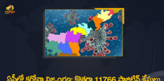 Andhra Pradesh, Andhra Pradesh COVID-19 Daily Bulletin, Andhra Pradesh Department of Health, ap coronavirus cases today, ap coronavirus cases total, ap coronavirus updates district wise, AP COVID 19 Cases, AP Total Positive Cases, COVID-19, COVID-19 Daily Bulletin, Total Corona Cases In AP,mango news