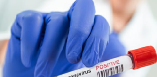 Corona Positive Cases in Maharashtra, Corona Positive Cases In Maharashtra, Maharashtra, Maharashtra , Maharashtra Corona, Maharashtra Corona Cases, Maharashtra Corona Deaths, Maharashtra Corona Positive Cases, Maharashtra Coronavirus, Maharashtra Coronavirus Positive Cases, Maharashtra Coronavirus Updates, Maharashtra COVID 19,mango news