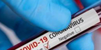 Corona Positive Cases in Maharashtra, Corona Positive Cases In Maharashtra, Maharashtra, Maharashtra , Maharashtra Corona, Maharashtra Corona Cases, Maharashtra Corona Deaths, Maharashtra Corona Positive Cases, Maharashtra Coronavirus, Maharashtra Coronavirus Positive Cases, Maharashtra Coronavirus Updates, Maharashtra COVID 19,mango news