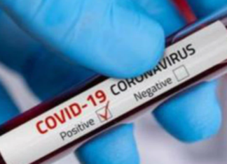 Corona Positive Cases in Maharashtra, Corona Positive Cases In Maharashtra, Maharashtra, Maharashtra , Maharashtra Corona, Maharashtra Corona Cases, Maharashtra Corona Deaths, Maharashtra Corona Positive Cases, Maharashtra Coronavirus, Maharashtra Coronavirus Positive Cases, Maharashtra Coronavirus Updates, Maharashtra COVID 19,mango news