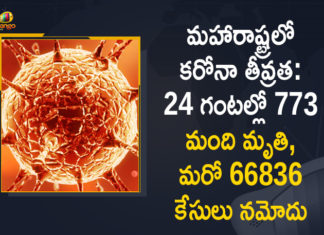 Corona Positive Cases in Maharashtra, Corona Positive Cases In Maharashtra, Maharashtra, Maharashtra , Maharashtra Corona, Maharashtra Corona Cases, Maharashtra Corona Deaths, Maharashtra Corona Positive Cases, Maharashtra Coronavirus, Maharashtra Coronavirus Positive Cases, Maharashtra Coronavirus Updates, Maharashtra COVID 19,mango news
