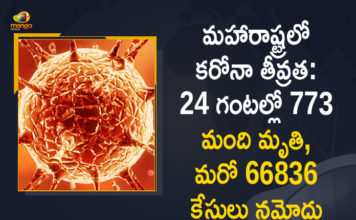 Corona Positive Cases in Maharashtra, Corona Positive Cases In Maharashtra, Maharashtra, Maharashtra , Maharashtra Corona, Maharashtra Corona Cases, Maharashtra Corona Deaths, Maharashtra Corona Positive Cases, Maharashtra Coronavirus, Maharashtra Coronavirus Positive Cases, Maharashtra Coronavirus Updates, Maharashtra COVID 19,mango news