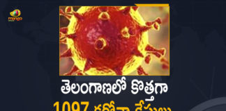 Coronavirus, COVID-19, Covid-19 Updates in Telangana, telangana corona district wise cases, telangana coronavirus cases district wise, telangana coronavirus cases today, telangana coronavirus cases today district wise, telangana coronavirus district wise, telangana coronavirus district wise List, Telangana Coronavirus News, telangana covid cases today bulletin, telangana covid cases today list,mango news