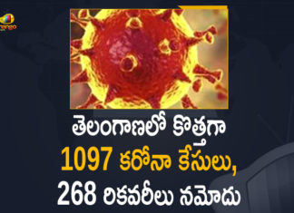 Coronavirus, COVID-19, Covid-19 Updates in Telangana, telangana corona district wise cases, telangana coronavirus cases district wise, telangana coronavirus cases today, telangana coronavirus cases today district wise, telangana coronavirus district wise, telangana coronavirus district wise List, Telangana Coronavirus News, telangana covid cases today bulletin, telangana covid cases today list,mango news