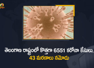Coronavirus, COVID-19, Covid-19 Updates in Telangana, telangana corona district wise cases, telangana coronavirus cases district wise, telangana coronavirus cases today, telangana coronavirus cases today district wise, telangana coronavirus district wise, telangana coronavirus district wise List, Telangana Coronavirus News, telangana covid cases today bulletin, telangana covid cases today list,mango news