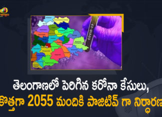 తెలంగాణలో పెరిగిన కరోనా కేసులు, కొత్తగా 2055 మందికి పాజిటివ్ గా నిర్ధారణ Coronavirus, COVID-19, Covid-19 Updates in Telangana, telangana corona district wise cases, telangana coronavirus cases district wise, telangana coronavirus cases today, telangana coronavirus cases today district wise, telangana coronavirus district wise, telangana coronavirus district wise List, Telangana Coronavirus News, telangana covid cases today bulletin, telangana covid cases today list,mango news