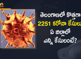 Coronavirus, COVID-19, Covid-19 Updates in Telangana, telangana corona district wise cases, telangana coronavirus cases district wise, telangana coronavirus cases today, telangana coronavirus cases today district wise, telangana coronavirus district wise, telangana coronavirus district wise List, Telangana Coronavirus News, telangana covid cases today bulletin, telangana covid cases today list,mango news