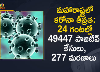 Corona Positive Cases in Maharashtra, Corona Positive Cases In Maharashtra, Maharashtra, Maharashtra , Maharashtra Corona, Maharashtra Corona Cases, Maharashtra Corona Deaths, Maharashtra Corona Positive Cases, Maharashtra Coronavirus, Maharashtra Coronavirus Positive Cases, Maharashtra Coronavirus Updates, Maharashtra COVID 19,mango news