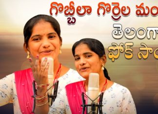 Gobbilla Gorrela Mandha,folk songs telugu,telangana folk songs,dj songs telugu,telugu folk songs,folk songs,supula vannekada,telugu private songs,telugu love songs,folk dj songs,latest folk songs,Janapada Songs Telugu,Janapada Songs,telangana songs,telugu dj songs,latest folk dj songs,telugu songs,latest dj songs,Heart Touching Song,Amulya studio,SITTA PATTA SINUKULAKU,EDATHINNAVRO RATHIRI,THINDURAVAYYA,2021 new songs,2021 folk songs