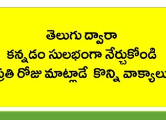 తెలుగు ద్వారా కన్నడం సులభంగా నేర్చుకోవడం ఎలా? How To Say Simple Telugu Sentences In Kannada - KVR Institute, How To Say Simple Telugu Sentences In Kannada?,Spoken Kannada Through Telugu, KVR Institute,learn kannada through telugu,kannada through telugu,spoken kannada, spoken kannada online,spoken kannada online course,spoken kannada online classes, spoken kannada videos,english grammar,kannada grammar through telugu,kvr spoken kannada videos, kvr institute spoken kannada,kvr spoken kannada,learn kannada grammar,kannada for beginners, learn kannada language for beginners,Mango News, Mango News Telugu,
