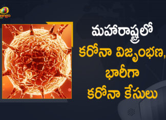 Corona Positive Cases in Maharashtra, Corona Positive Cases In Maharashtra, Maharashtra, Maharashtra , Maharashtra Corona, Maharashtra Corona Cases, Maharashtra Corona Deaths, Maharashtra Corona Positive Cases, Maharashtra Coronavirus, Maharashtra Coronavirus Positive Cases, Maharashtra Coronavirus Updates, Maharashtra COVID 19,mango news