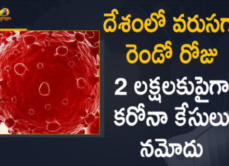 Coronavirus Cases, coronavirus cases in india state wise, coronavirus cases in india today state wise, coronavirus cases india, coronavirus india, India Coronavirus, India Covid-19 Updates, New Confirmed Corona Cases, total corona cases in india today, total corona positive in india,mango news