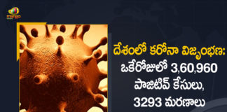 Coronavirus Cases, coronavirus cases in india state wise, coronavirus cases in india today state wise, coronavirus cases india, coronavirus india, India Coronavirus, India Covid-19 Updates, New Confirmed Corona Cases, total corona cases in india today, total corona positive in india,mango news