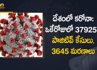 Coronavirus Cases, coronavirus cases in india state wise, coronavirus cases in india today state wise, coronavirus cases india, coronavirus india, India Coronavirus, India Covid-19 Updates, New Confirmed Corona Cases, total corona cases in india today, total corona positive in india,mango news