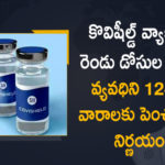 Gap Between Two Doses of Covishield Vaccine Extended from 6-8 Weeks to 12-16 Weeks,Mango News,Mango News Telugu,Gap Between Two Doses Of Covishield Extended To 12-16,Some Breathing Space From Science,Govt Increases Interval Between Covidshield Doses To 12-16,Gap Between Two Covishield Doses Extended To 12-16 Weeks,12-16 Week Gap For Second Covishield Doses,Increase Gap Between Covishield Doses,Gap Between 2 Doses Of Covishield Vaccine,Covishield Vaccine,Covishield,Covid Vaccine India,Covid Vaccine,India,Centre Increases Gap Between Covishield Doses,Gap Between Two Doses of Covishield Vaccine