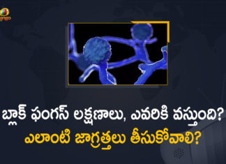 Black Fungus Symptoms, Causes and Preventive Measures,Mango News,Mango News Telugu,COVID-19,COVID-19 Updates,Black Fungus,What Causes Black Fungus,How To Prevent Black Fungus,Black Fungal Disease Infection Symptoms,Black Fungal Disease,Black Fungus Infection,Causes,Black Fungus Infection in Covid,Symptoms of Black Fungus,What Is Black Fungus,COVID-19 in India,COVID-19 and Black Fungus,Black Fungal Infection,Symptoms,How Does Black Fungus Spread,How Does Black Fungus Occurs,Black Fungus Covid,Black Fungus Symptom,Black Fungus In India,Black Fungus Covid India,Black Fungus Covid Symptoms,Black Fungus Explained,Black Fungus Corona,Black Fungus Preventive Measures