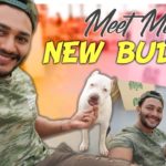 Meet My New Buddy,Pet Love,Fitness Tips,Weight Loss Drinks,Prince Cecil,#ThePrinceWay,how to lose weight,fast weight loss drinks,fat loss drink,lose weight fast and easy,how to lose weight at home,how to burn belly fat,weight loss tips at home,ayurvedic medicine for weight loss,how to lose weight naturally,home remedies for weight loss,weight loss supplements,how to lose weight without exercise,best weight loss drinks,fat burning drinks,Fat cutter Drinks