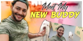 Meet My New Buddy,Pet Love,Fitness Tips,Weight Loss Drinks,Prince Cecil,#ThePrinceWay,how to lose weight,fast weight loss drinks,fat loss drink,lose weight fast and easy,how to lose weight at home,how to burn belly fat,weight loss tips at home,ayurvedic medicine for weight loss,how to lose weight naturally,home remedies for weight loss,weight loss supplements,how to lose weight without exercise,best weight loss drinks,fat burning drinks,Fat cutter Drinks