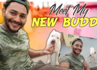 Meet My New Buddy,Pet Love,Fitness Tips,Weight Loss Drinks,Prince Cecil,#ThePrinceWay,how to lose weight,fast weight loss drinks,fat loss drink,lose weight fast and easy,how to lose weight at home,how to burn belly fat,weight loss tips at home,ayurvedic medicine for weight loss,how to lose weight naturally,home remedies for weight loss,weight loss supplements,how to lose weight without exercise,best weight loss drinks,fat burning drinks,Fat cutter Drinks