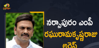 Narsapuram YSRCP MP Raghu Rama Krishna Raju Arrested by AP CID,Mango News,Mango News Telugu,MP Raghu Rama Krishnam Raju Arrested by AP CID,YSRCP MP Raghu Rama Krishnam Raju arrested by AP CID,Narsapur MP Raghu Rama Krishnam Raju Arrested by AP CID,CM Jagan,Raghu Rama Krishnam Raju,MP Raghu Rama Krishnam Raju,Raghu Rama Krishnam Raju Latest News,Raghu Ramakrishna Raju,Raghu Rama Krishnam Raju Sri Reddy,Raghu Rama Krishnam Raju Live,Raghu Rama Krishnam Raju Biography,Narsapuram MP Raghu Rama Krishnam Raju,Narsapuram MP,AP CM,AP CM Jagan Mohan Reddy Latest News,AP CID arrest YSRCP rebel MP Raghu Rama Krishna,CID Arrest YSRCP MP Raghu Rama Krishna,YSRCP MP Raghu Rama Krishna