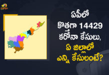 Andhra Pradesh, Andhra Pradesh COVID-19 Daily Bulletin, Andhra Pradesh Department of Health, ap coronavirus cases today, ap coronavirus cases total, ap coronavirus updates district wise, AP COVID 19 Cases, AP Total Positive Cases, COVID-19, COVID-19 Daily Bulletin, Total Corona Cases In AP,mango news