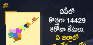 Andhra Pradesh, Andhra Pradesh COVID-19 Daily Bulletin, Andhra Pradesh Department of Health, ap coronavirus cases today, ap coronavirus cases total, ap coronavirus updates district wise, AP COVID 19 Cases, AP Total Positive Cases, COVID-19, COVID-19 Daily Bulletin, Total Corona Cases In AP,mango news