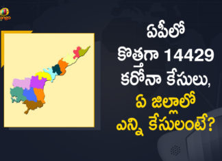 Andhra Pradesh, Andhra Pradesh COVID-19 Daily Bulletin, Andhra Pradesh Department of Health, ap coronavirus cases today, ap coronavirus cases total, ap coronavirus updates district wise, AP COVID 19 Cases, AP Total Positive Cases, COVID-19, COVID-19 Daily Bulletin, Total Corona Cases In AP,mango news
