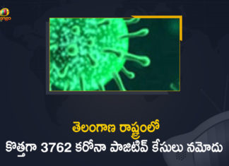 Coronavirus, Coronavirus Breaking News, Coronavirus Latest News, COVID-19, telangana, Telangana Coronavirus, Telangana Coronavirus Cases, Telangana Coronavirus Deaths, Telangana Coronavirus New Cases, Telangana Coronavirus News, Telangana New Positive Cases, Total COVID 19 Cases