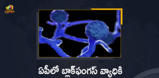 List of Hospitals where Black Fungus Treatment Available in Andhra Pradesh State,Mango News,Mango News Telugu,State To Declare Black Fungus As Notified Disease,Black Fungus,Black Fungus Treatment,Black Fungus Treatment Available in AP,AP,AP News,Andhra Pradesh,Andhra Pradesh Black Fungus,Andhra Pradesh Allocated 1600 Vials Of Drug To Treat Black Fungus Cases,Black Fungus in Andhra Pradesh,Black Fungus in AP,Cases Of Black Fungus On The Rise In Andhra Pradesh,Black Fungus Treatment In AP,List of Hospitals,List of Hospitals Black Fungus Treatment,Black Fungus Treatment Hospitals,Black Fungus Treatment Hospitals In Andhra Pradesh