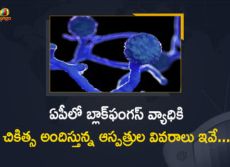 List of Hospitals where Black Fungus Treatment Available in Andhra Pradesh State,Mango News,Mango News Telugu,State To Declare Black Fungus As Notified Disease,Black Fungus,Black Fungus Treatment,Black Fungus Treatment Available in AP,AP,AP News,Andhra Pradesh,Andhra Pradesh Black Fungus,Andhra Pradesh Allocated 1600 Vials Of Drug To Treat Black Fungus Cases,Black Fungus in Andhra Pradesh,Black Fungus in AP,Cases Of Black Fungus On The Rise In Andhra Pradesh,Black Fungus Treatment In AP,List of Hospitals,List of Hospitals Black Fungus Treatment,Black Fungus Treatment Hospitals,Black Fungus Treatment Hospitals In Andhra Pradesh