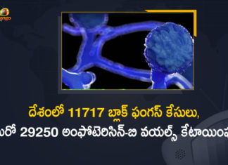11717 Black Fungus Cases Reported In India, Black Fungus, Black Fungus Cases, Black Fungus Cases In India, Black Fungus Disease, Black Fungus Infections, Black Fungus New Cases, Black Fungus Treatment, Increasing Cases Of Black Fungus, Increasing Cases Of Black Fungus In Telangana, India, Mango News, Mucormycosis, So Far 11717 Black Fungus Cases Reported, So Far 11717 Black Fungus Cases Reported In India