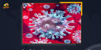 Covid-19 in Maharashtra: 48621 New Positive Cases and 567 Deaths Reported in Last 24 hours,Covid-19 in Maharashtra,Maharashtra Covid-19 Positive Cases Update on April 30th,Mango News,Mango News Telugu,Maharashtra Reports 48621 New Positive Cases and 567 Deaths,Maharashtra Reports,Maharashtra,Corona Positive Cases in Maharashtra,Maharashtra Corona,Maharashtra Corona Cases,Maharashtra Corona Deaths,Maharashtra Corona Positive Cases,Maharashtra Coronavirus,Maharashtra Coronavirus Positive Cases,Maharashtra Coronavirus Updates,Maharashtra COVID 19,Maharashtra New Covid-19 Cases,Maharashtra Deaths Reports,Maharashtra Covid-19 Updates,Maharashtra Reports 48621 New Positive Cases,Maharashtra Latest Reports