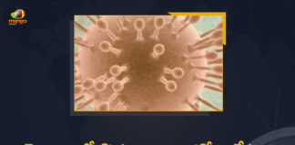 Coronavirus, COVID-19, Covid-19 Updates in Telangana, telangana corona district wise cases, telangana coronavirus cases district wise, telangana coronavirus cases today, telangana coronavirus cases today district wise, telangana coronavirus district wise, telangana coronavirus district wise List, Telangana Coronavirus News, telangana covid cases today bulletin, telangana covid cases today list,mango news