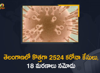 తెలంగాణలో 24 గంటల్లో 2524 కరోనా కేసులు, 3464 రికవరీలు నమోదు Coronavirus, COVID-19, Covid-19 Updates in Telangana, telangana corona district wise cases, telangana coronavirus cases district wise, telangana coronavirus cases today, telangana coronavirus cases today district wise, telangana coronavirus district wise, telangana coronavirus district wise List, Telangana Coronavirus News, telangana covid cases today bulletin, telangana covid cases today list,mango news